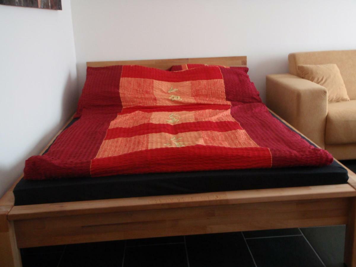 Ferienwohnung מיינץ מראה חיצוני תמונה